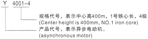 西安泰富西玛Y系列(H355-1000)高压JR1510-8三相异步电机型号说明